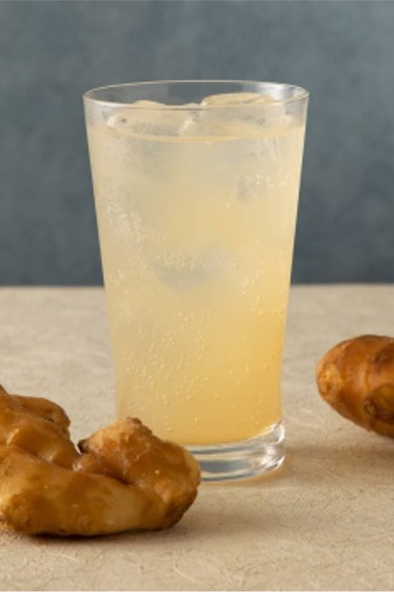 国産有機生姜使用オーガニックジンジャーエール　300円