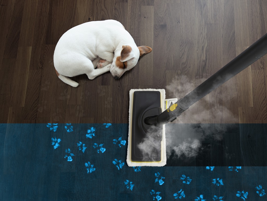 スチームクリーナー
「臭い・除菌対策に」
高温のスチーム（約100℃）で目に見えないバクテリアやウイルスを99.99％※ 除去します。ソファやカーペット、トイレ回りやゲージなどより清潔を保ちたい場所のお掃除や雑菌が繁殖する臭いの気になる場所に最適です。スチームの力で汚れを浮かせ、しっかり除菌します。洗剤不要で環境にやさしいクリーナーで床のお掃除にも使えます。
※第三者機関調べ。ケルヒャースチームクリーナーをスチーム最大量モードで30秒間噴射するとウイルスを99.999%除去するという結果が出ました。ケルヒャーのスチームクリーナーを正しく使用すると、一般家庭のバクテリアを99.99%除菌することができます。（表面の硬い場所を清掃した場合）