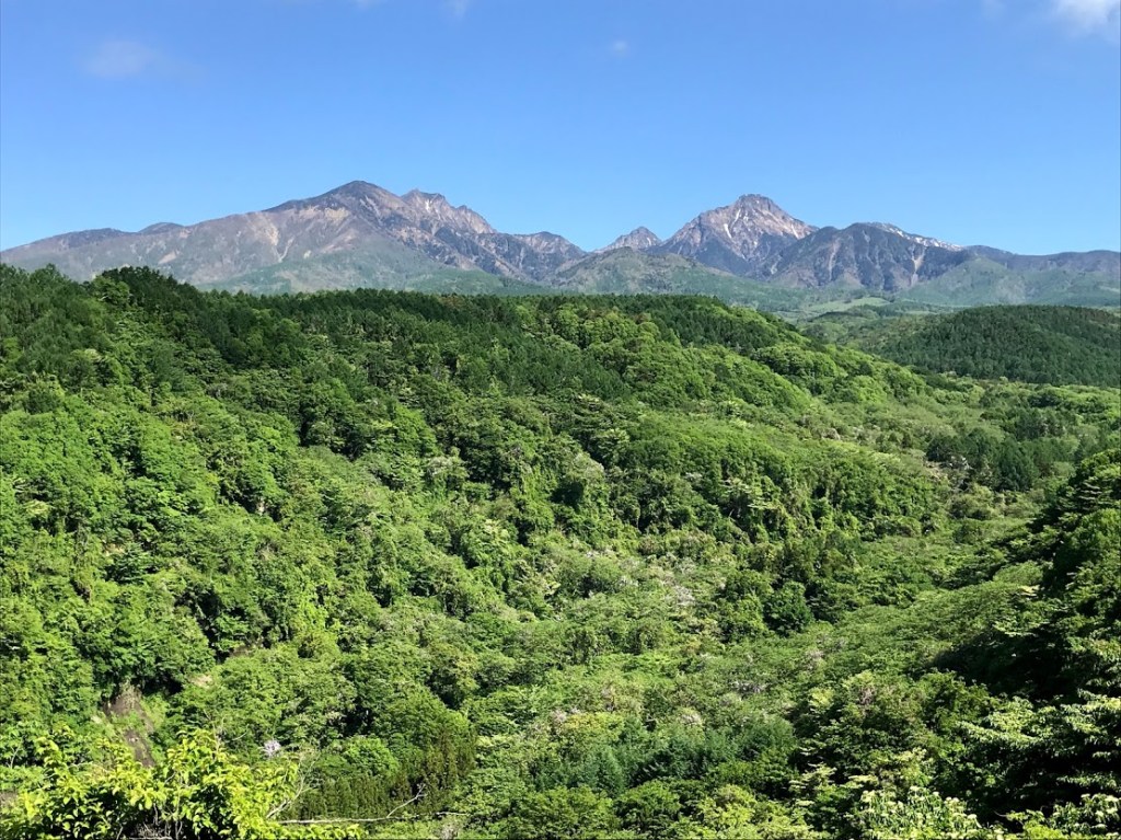 森の中のコワーキングスペース「清里フォーレスト(FOR'rest)」誕生！