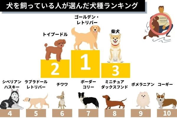 犬を飼っている人が選んだ犬種ランキング